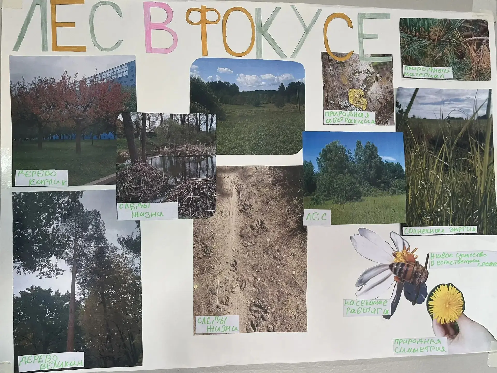 #УроквГороде 🌿