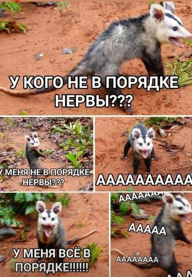 Все в порядке 😉