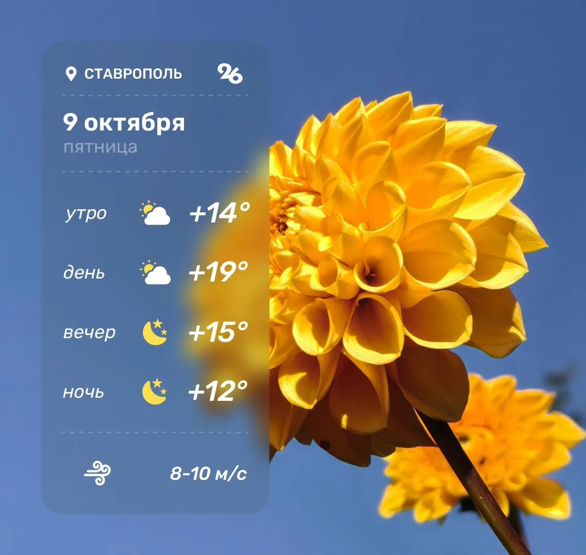⛅️ Погода в Ставрополе 9 октября