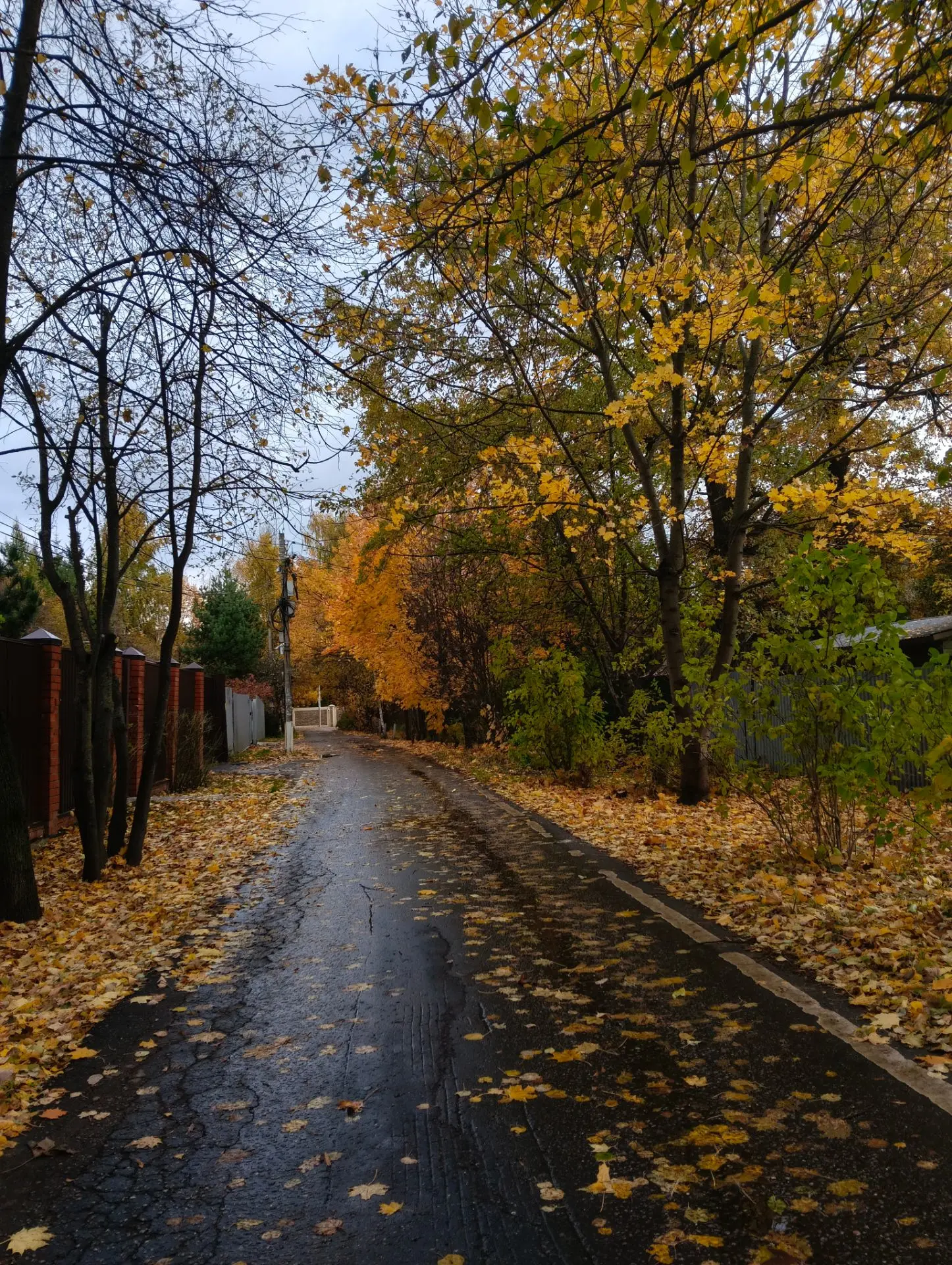 Осень на районе🍁🍂