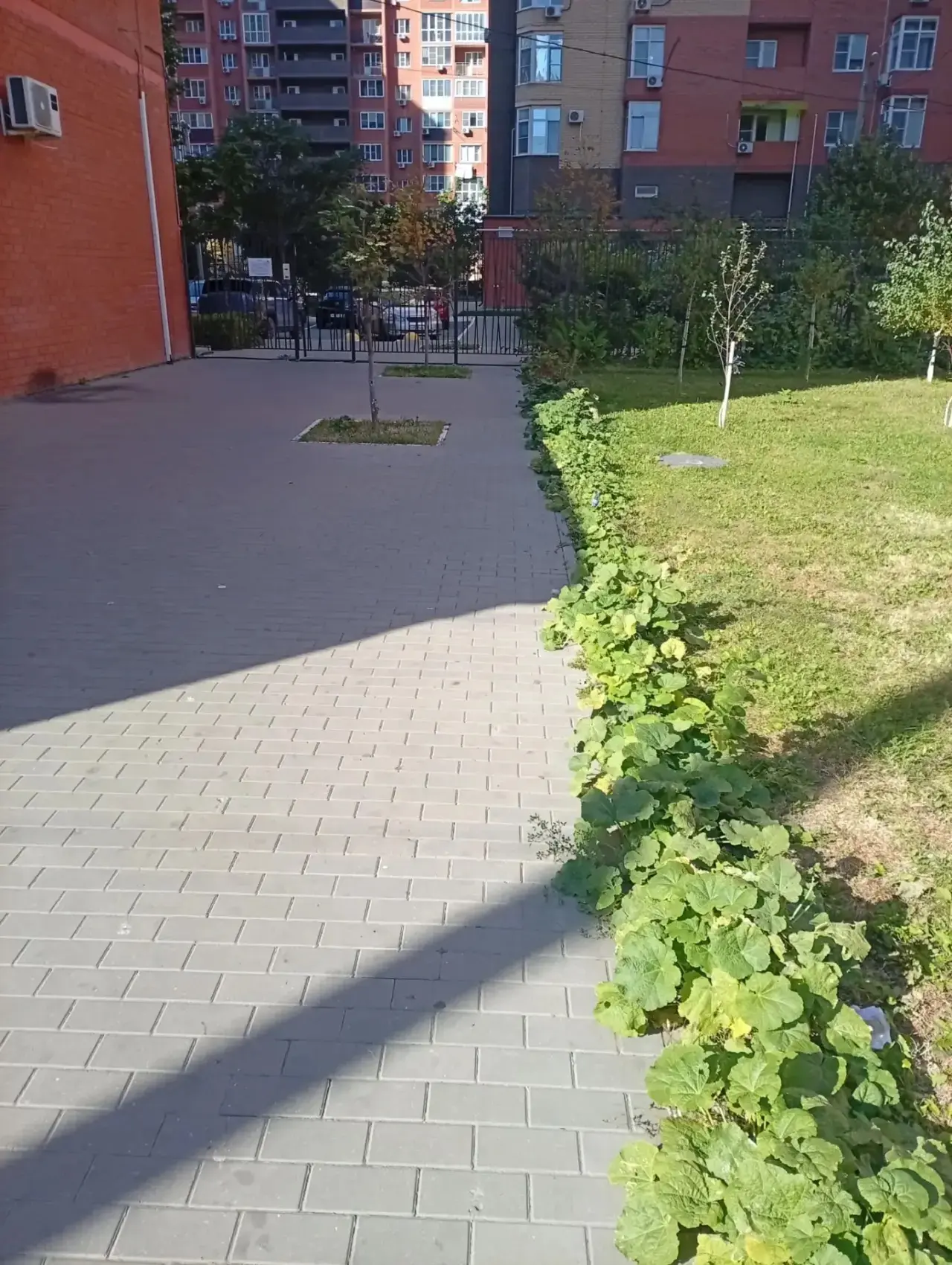 Дорогой житель!👋