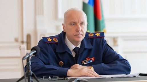 Бастрыкин поручил доложить о нападении собак на мальчика в Краснодарском крае