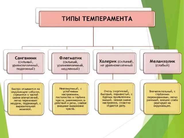 Что вы знаете о своем типе темперамента?