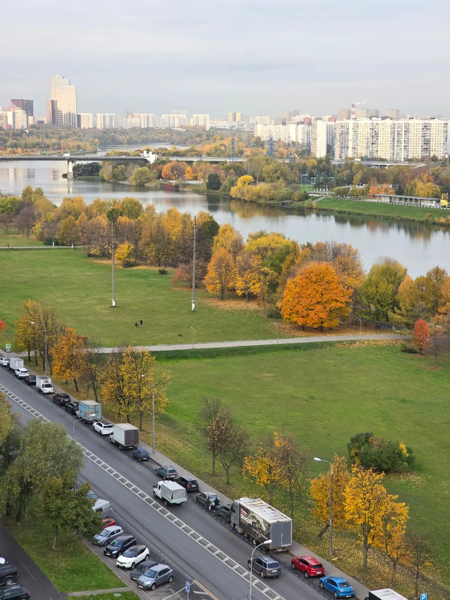 Если вы нашли хорошую позу для сна, вам не холодно и не жарко, ничего не жужжит и никто...