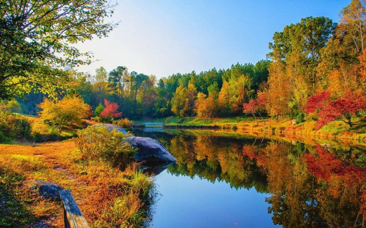 ❤️🔶🌿🩵❤️🔶🌿🩵❤️🔶