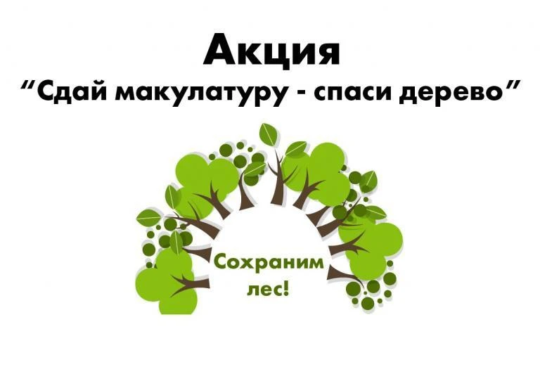 🌳 Сохраним лес!