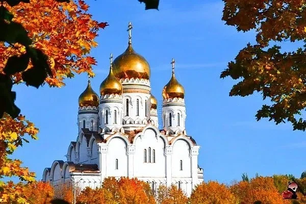 Священномученик Михаил Вологодский, священник.