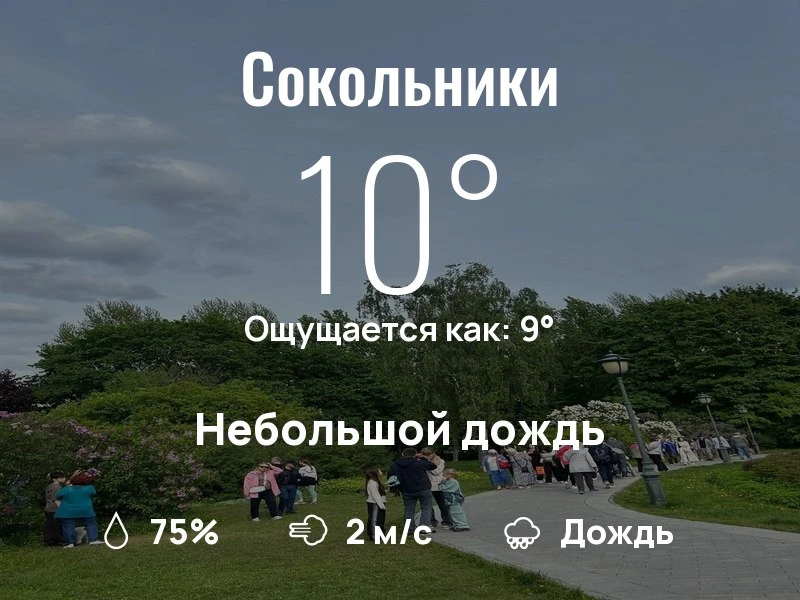 Что с погодой в Сокольниках?