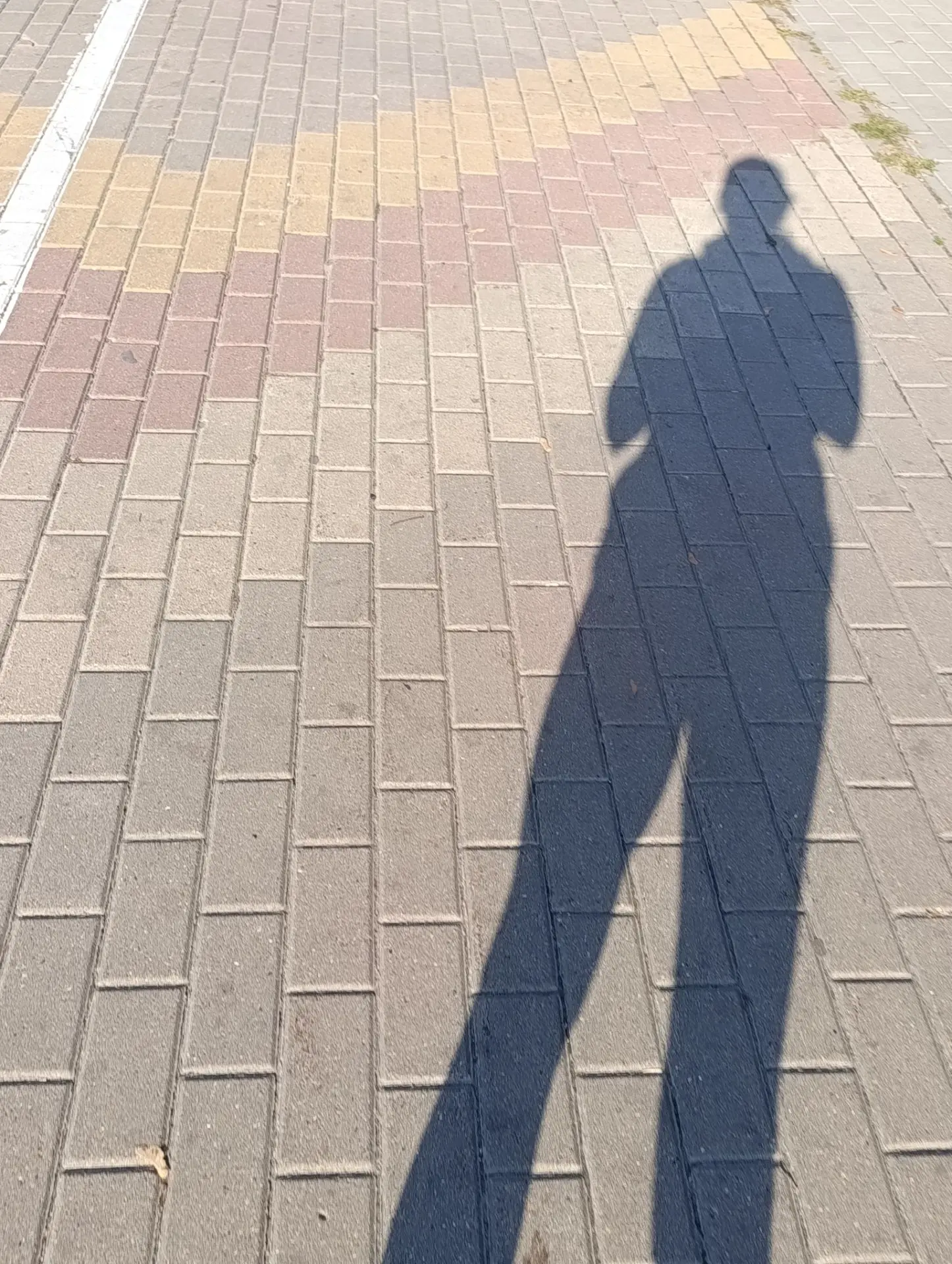 Приятное с полезным, будем делать поделку в школу)))