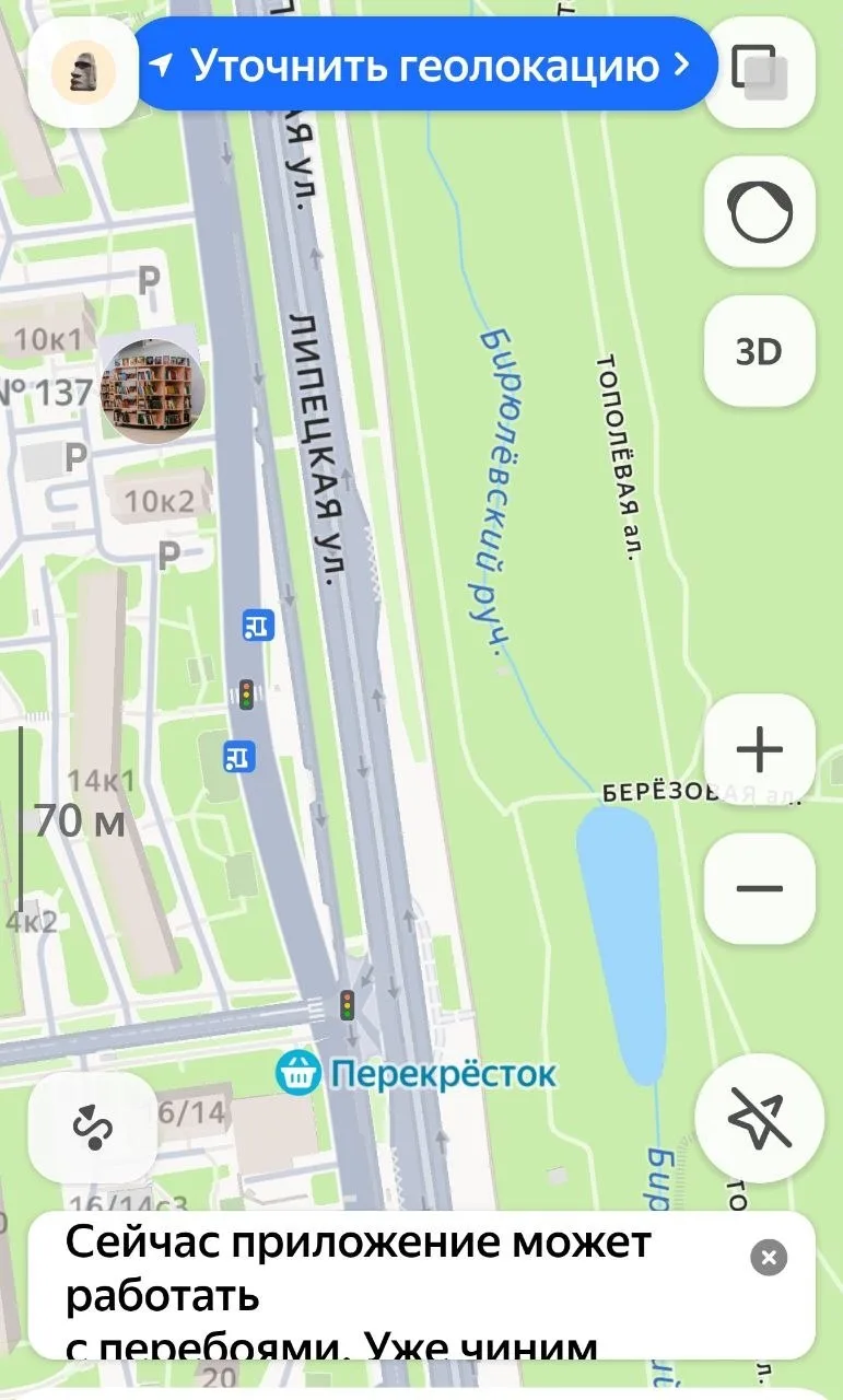 Яндекс Карты как-то чудно отрисовали новый дублер , оставив старый дублёр и даже зелены...