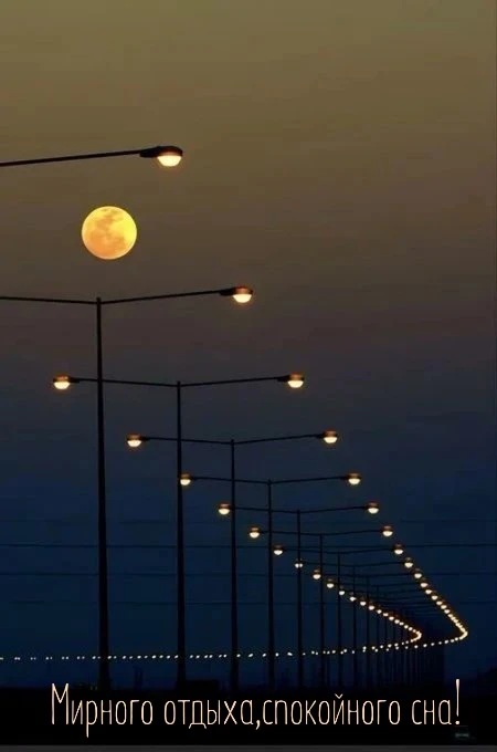 Мирного отдыха!🌃