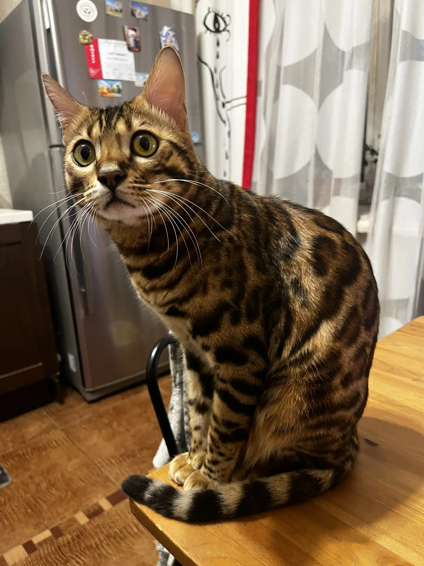 Мысли вслух🐆♥️