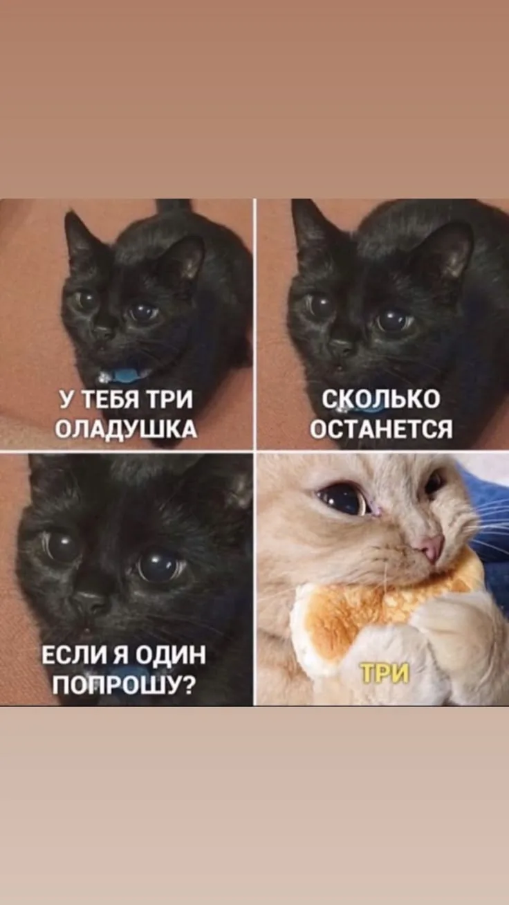 С таким взглядом можно всё 😭❤️