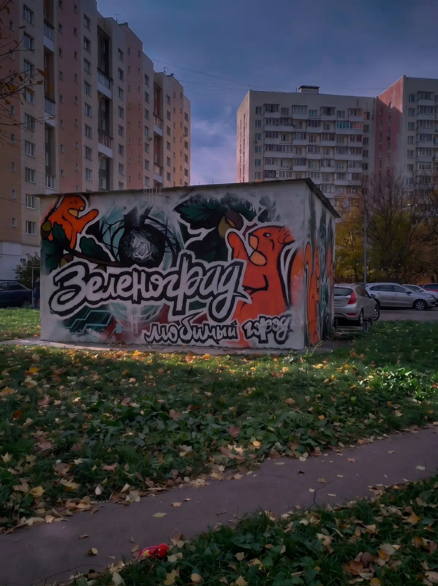 🐿 В Зеленограде появилось новое граффити, посвященное городу