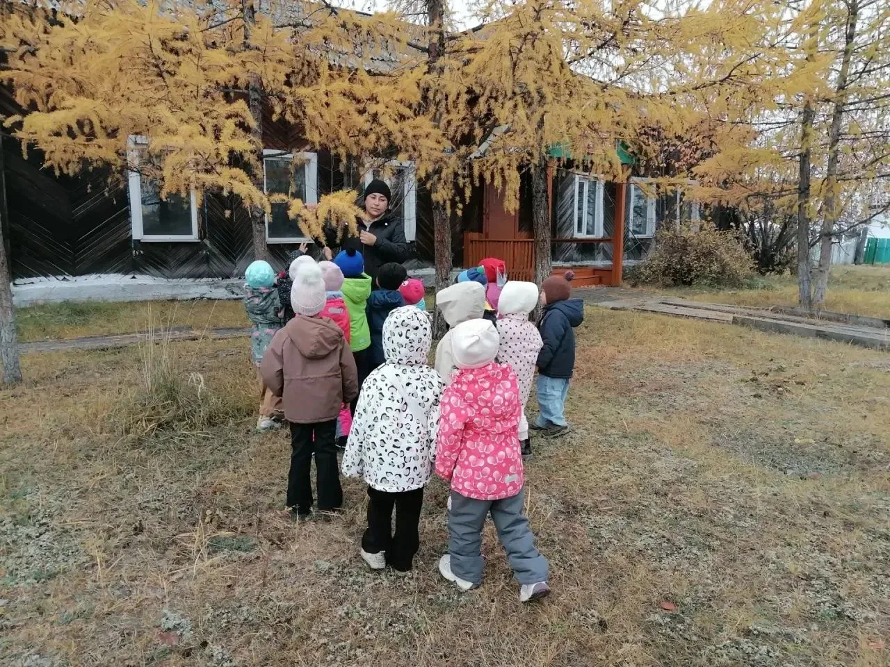 В старшей группе прошла целевая прогулка, посвященная наблюдениям за природой.