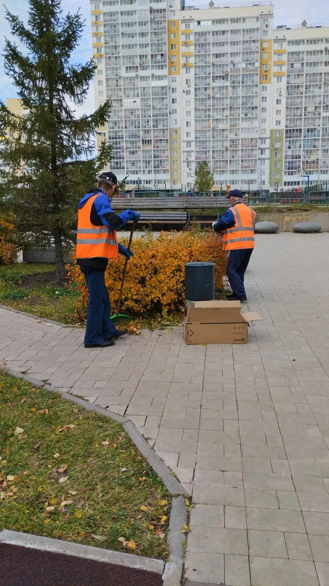 Силами УК Горизонты продолжается  обрезка кустарников в мкр. Парковый 2, территория сквера