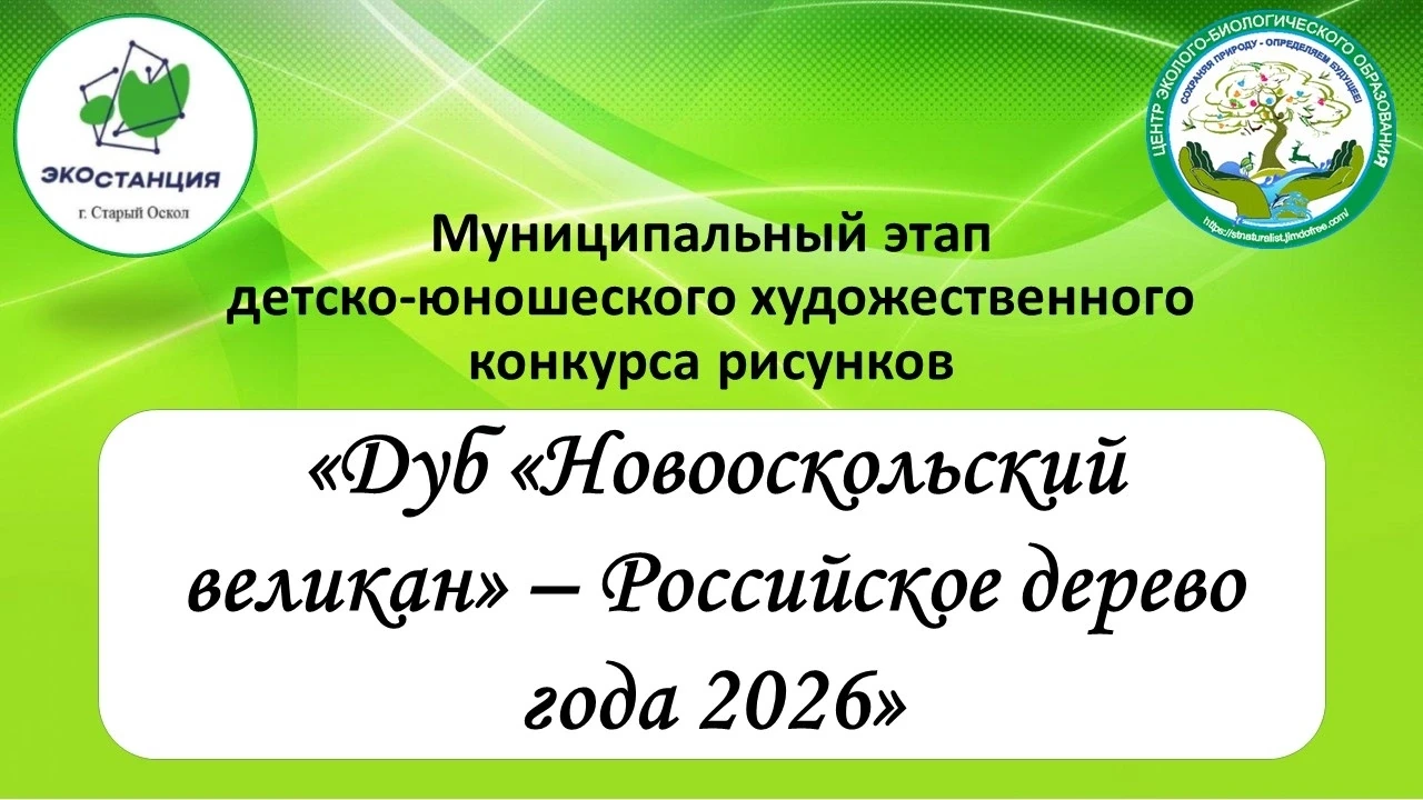 📢Внимание, друзья! С 11 ноября по 18 ноября 2026 года состоится муниципальный этап дет...