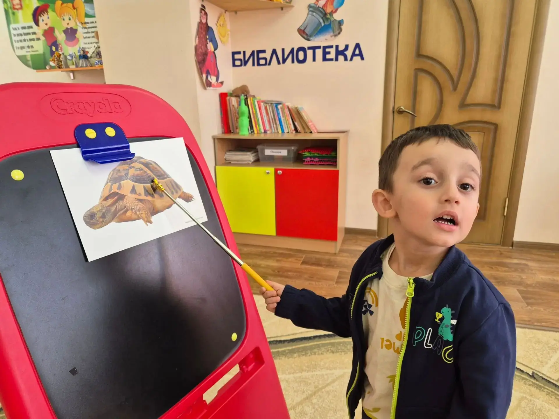 Познавательное развитие (ФЦКМ)в средней группе