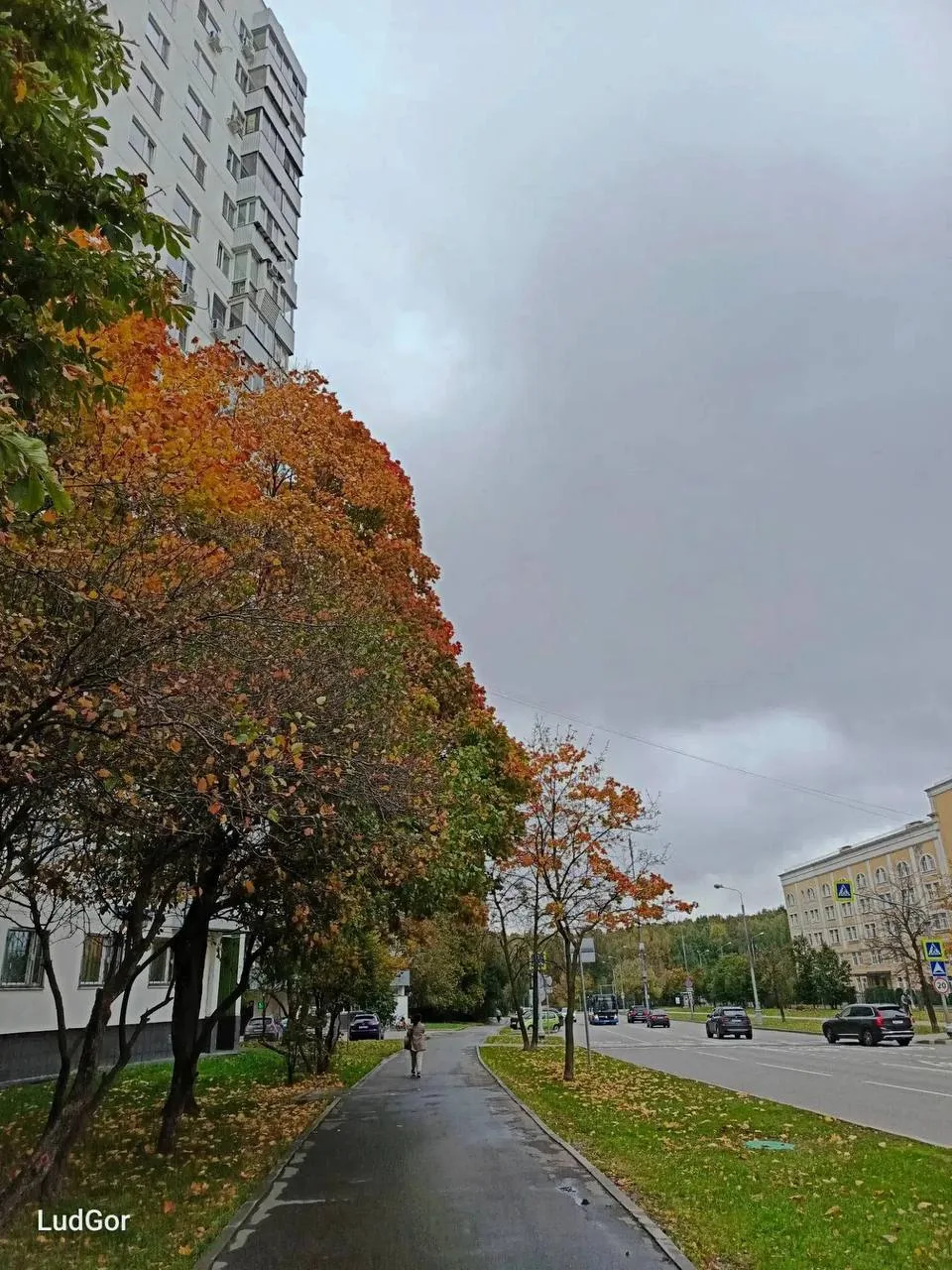 Осенняя пора в районе 🍂