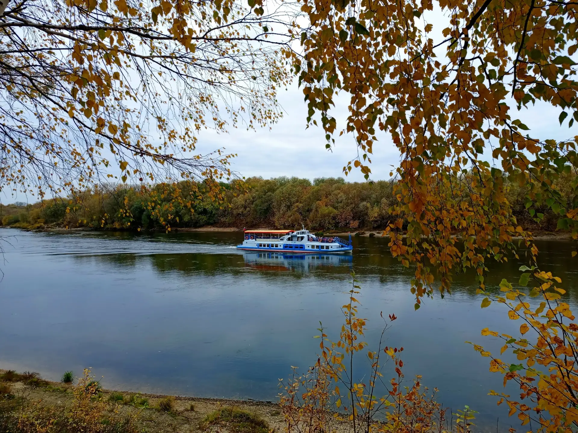 Цвета яркой осени ... стали приглушённые... 🍁🍁🍁