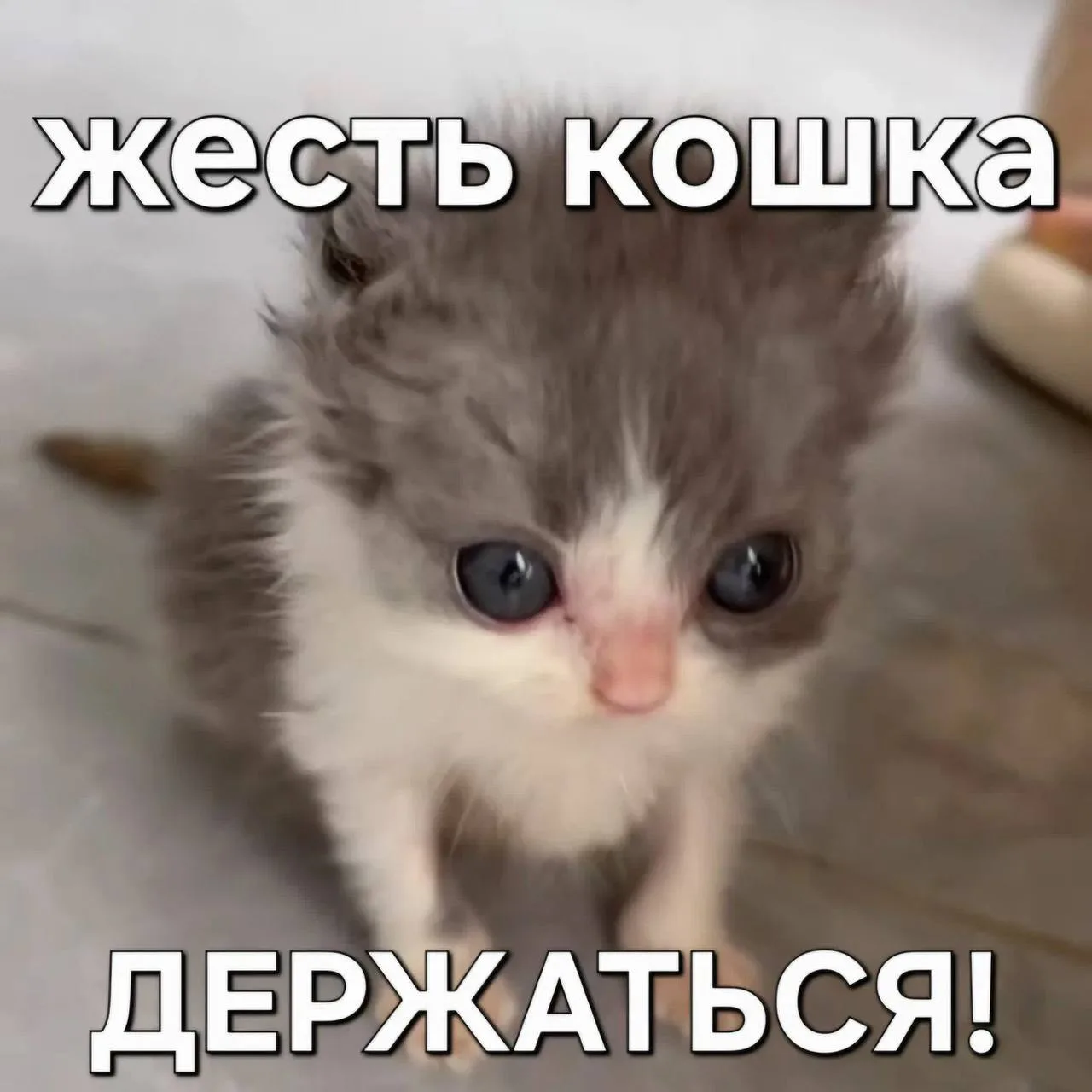 🥹 Дорогие путешественники! Мы восстановили работоспособность в МАХ и Телеграм.