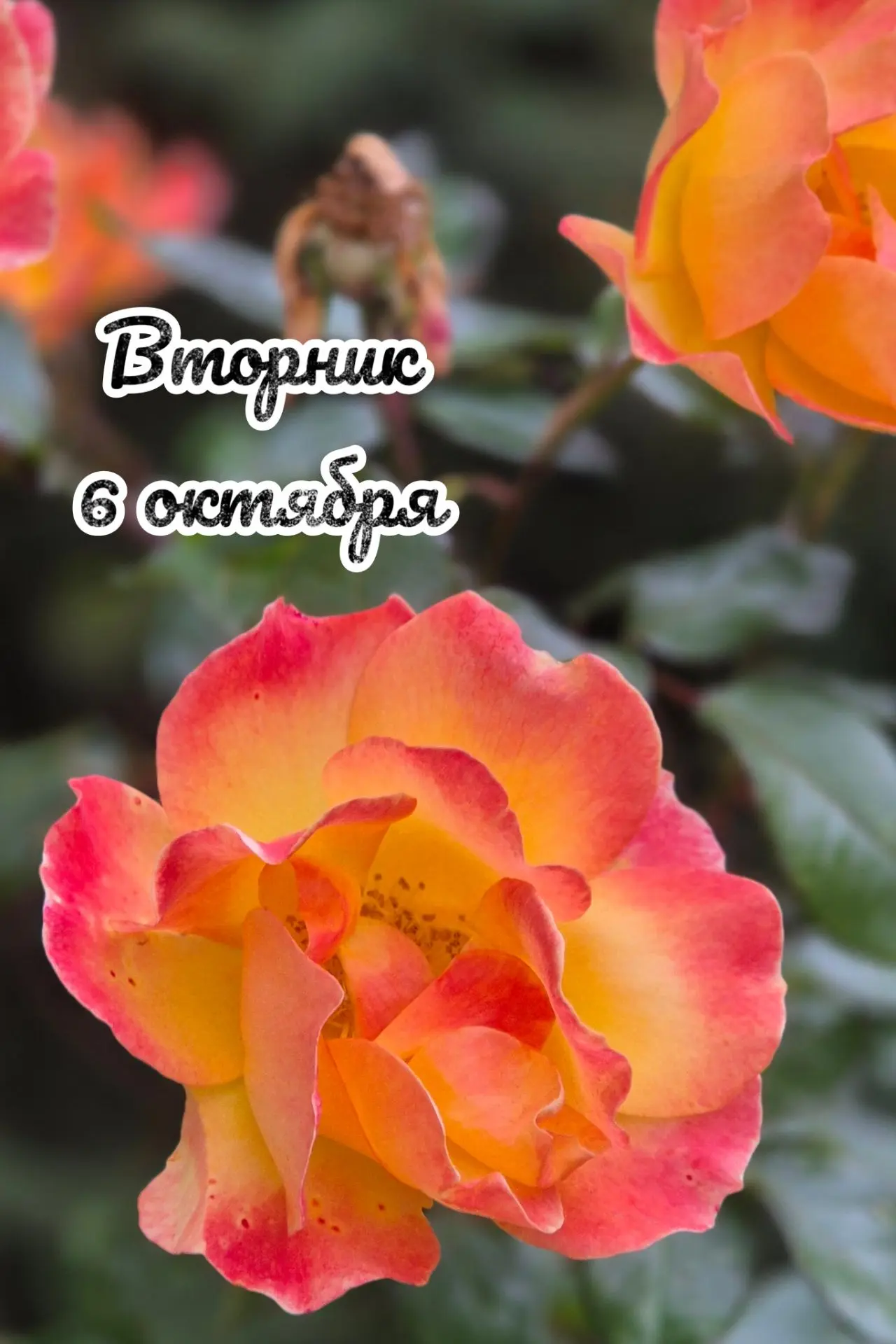 📅 Вторник, 6 октября: день стабильности 🏛️