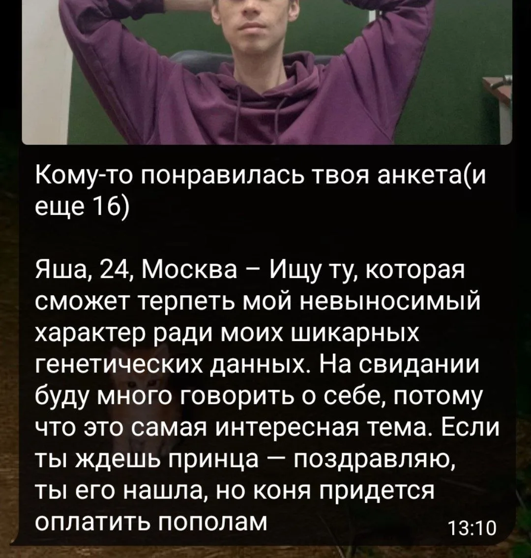 Принцы в 26 году