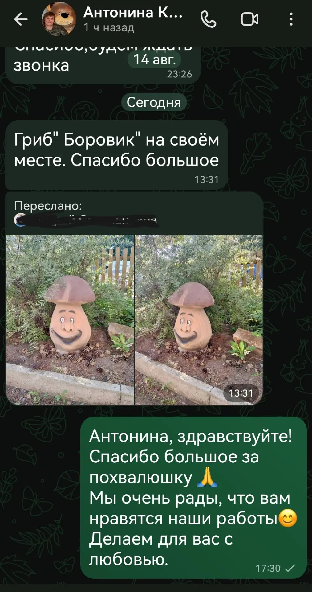 Веселый гриб на месте. Спасибо за похвалюшку от Антонины и Андрея🙏