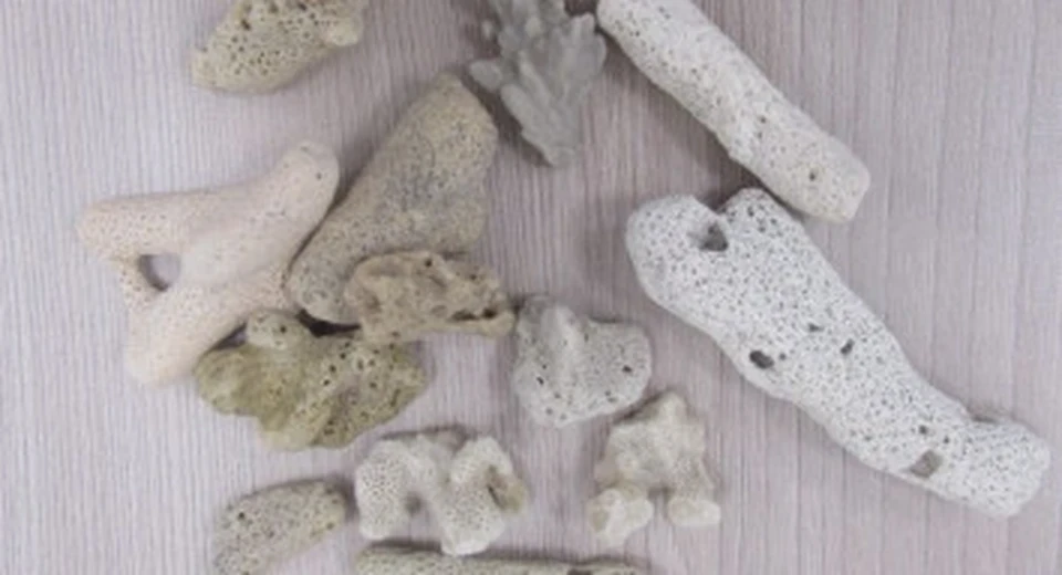 Житель Кузбасса привез на память сувениры из Вьетнама и... стал фигурантом дела