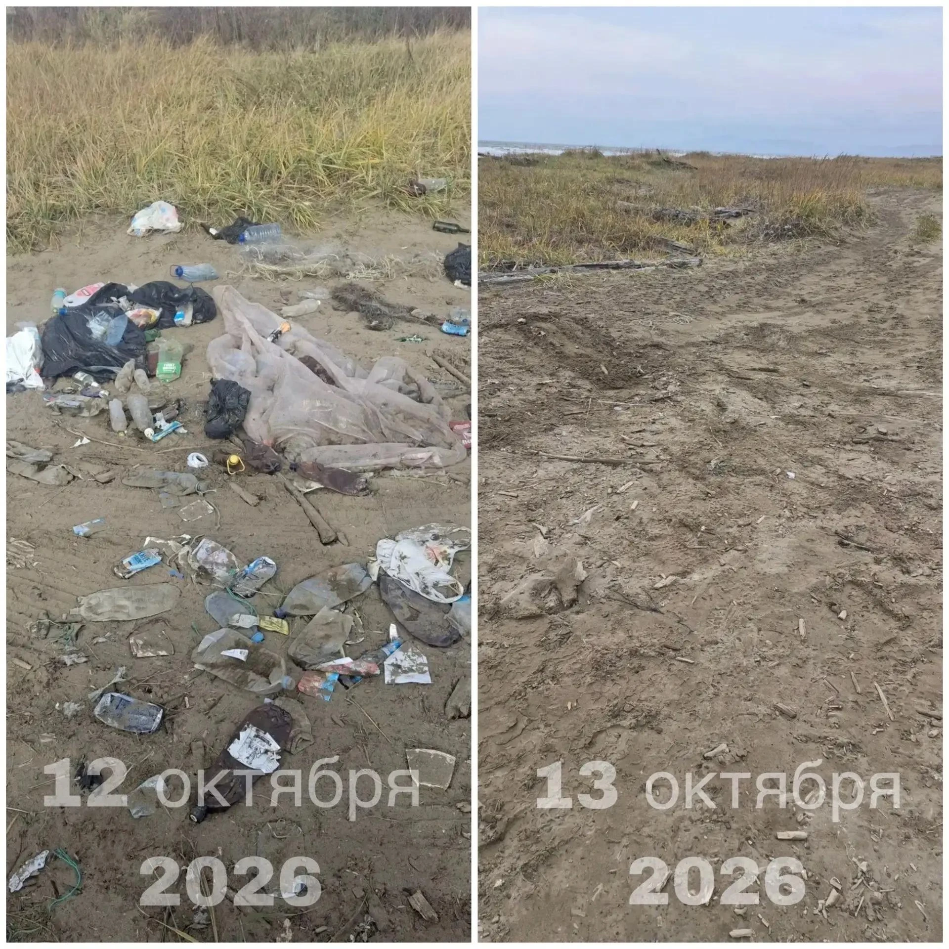 ⚠️ В береговой зоне залива Терпения выявлен факт несанкционированного размещения отходов