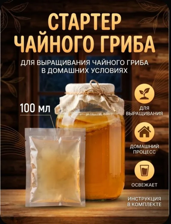 Чайный гриб 🫖
