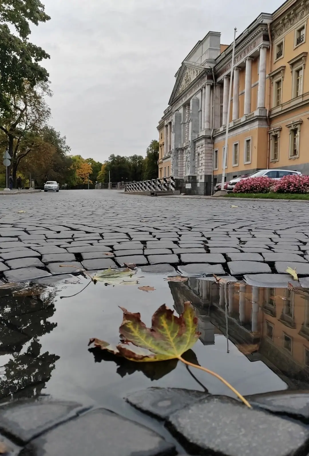 Глаза, словно осенняя пора,
