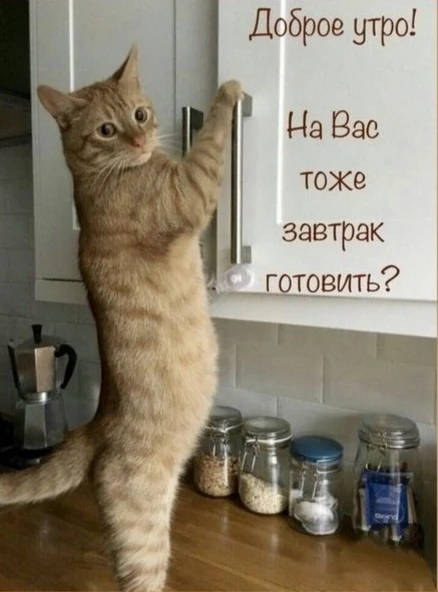 Уюᴛн᧐ᥱ нᥲᥴᴛρ᧐ᥱнᥙᥱ