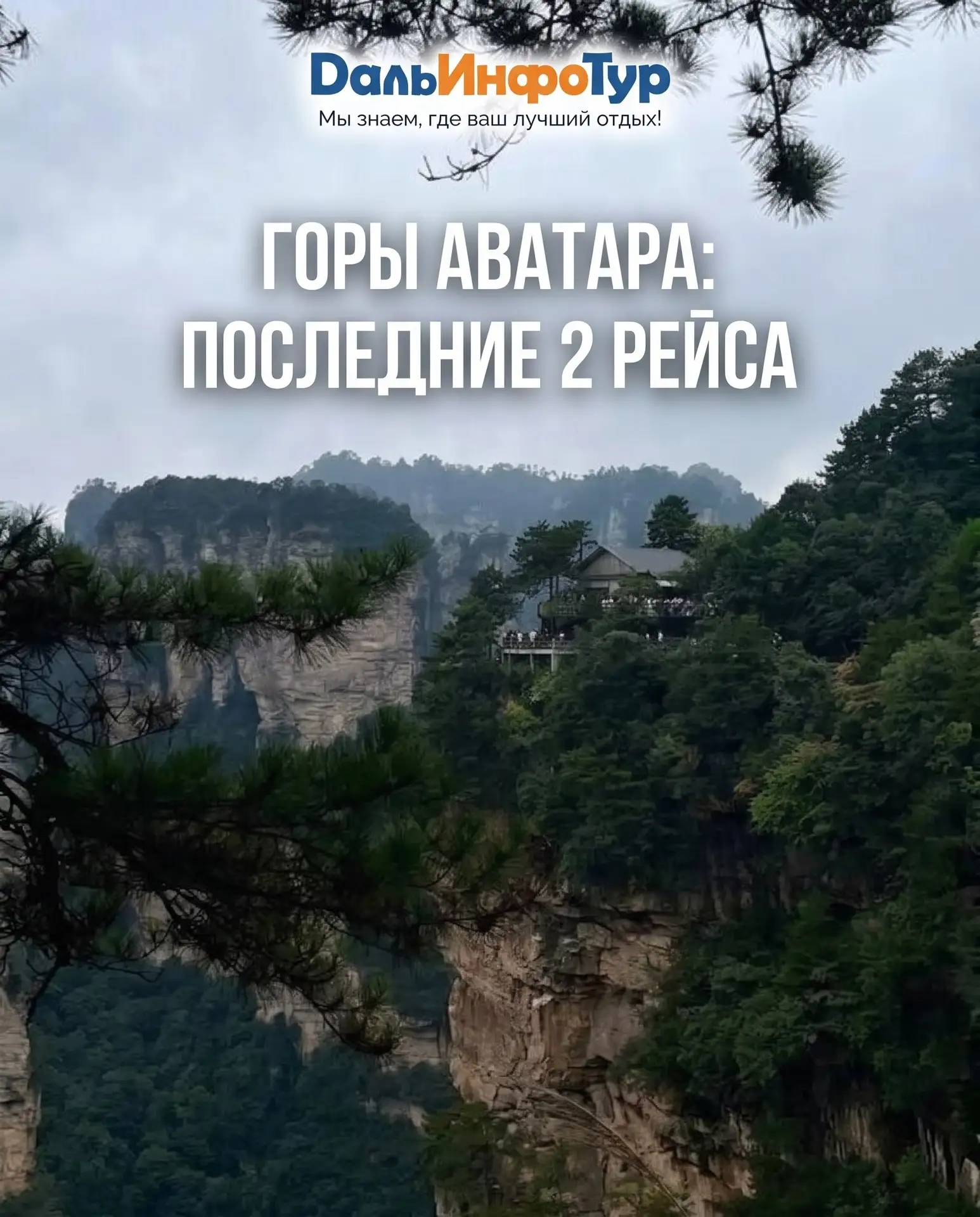 🏞️ ГОРЫ АВАТАРА: ПОСЛЕДНИЕ ДВА РЕЙСА