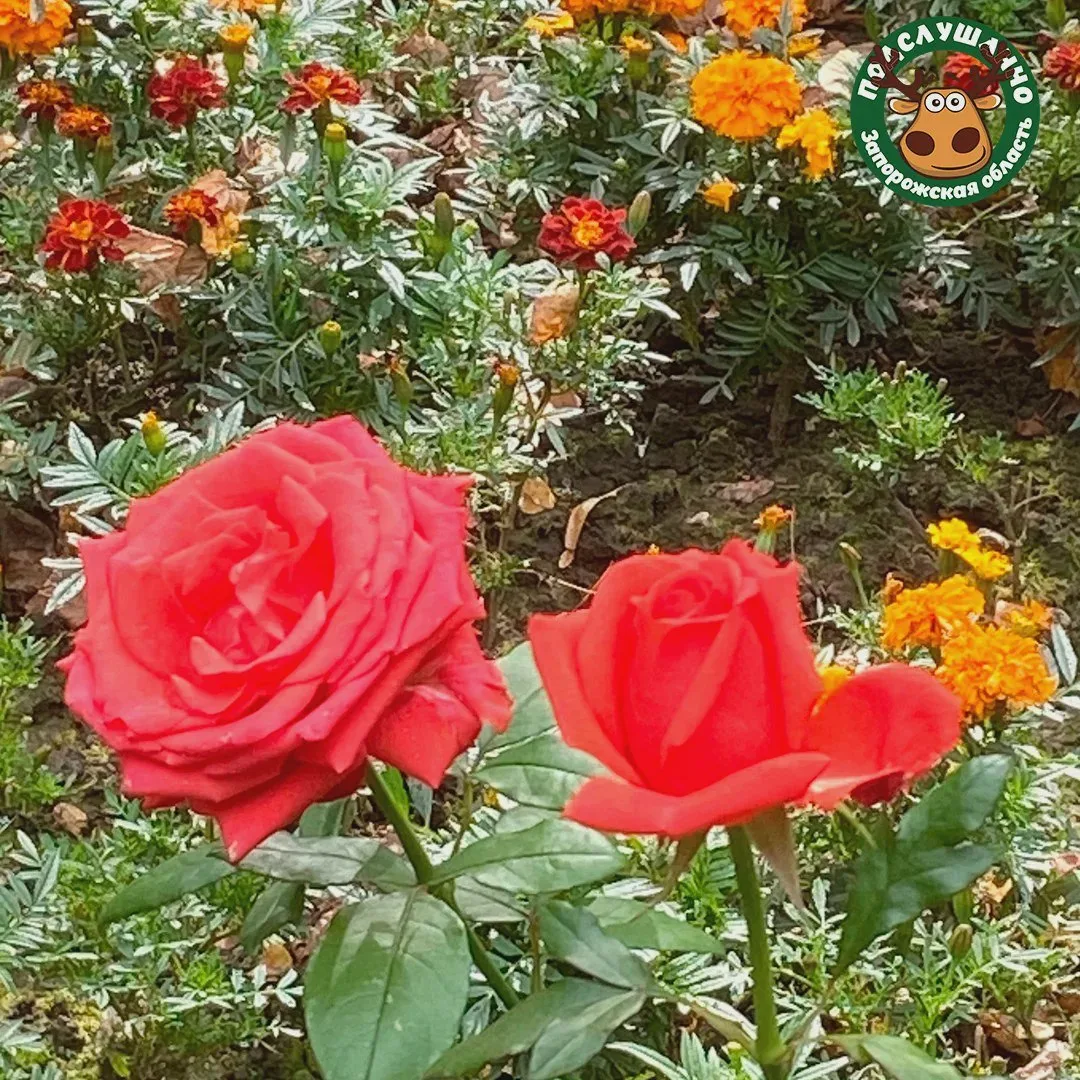 😊 Утро с осенним вдохновением