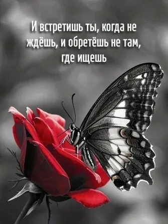 Enigma Deep Songs