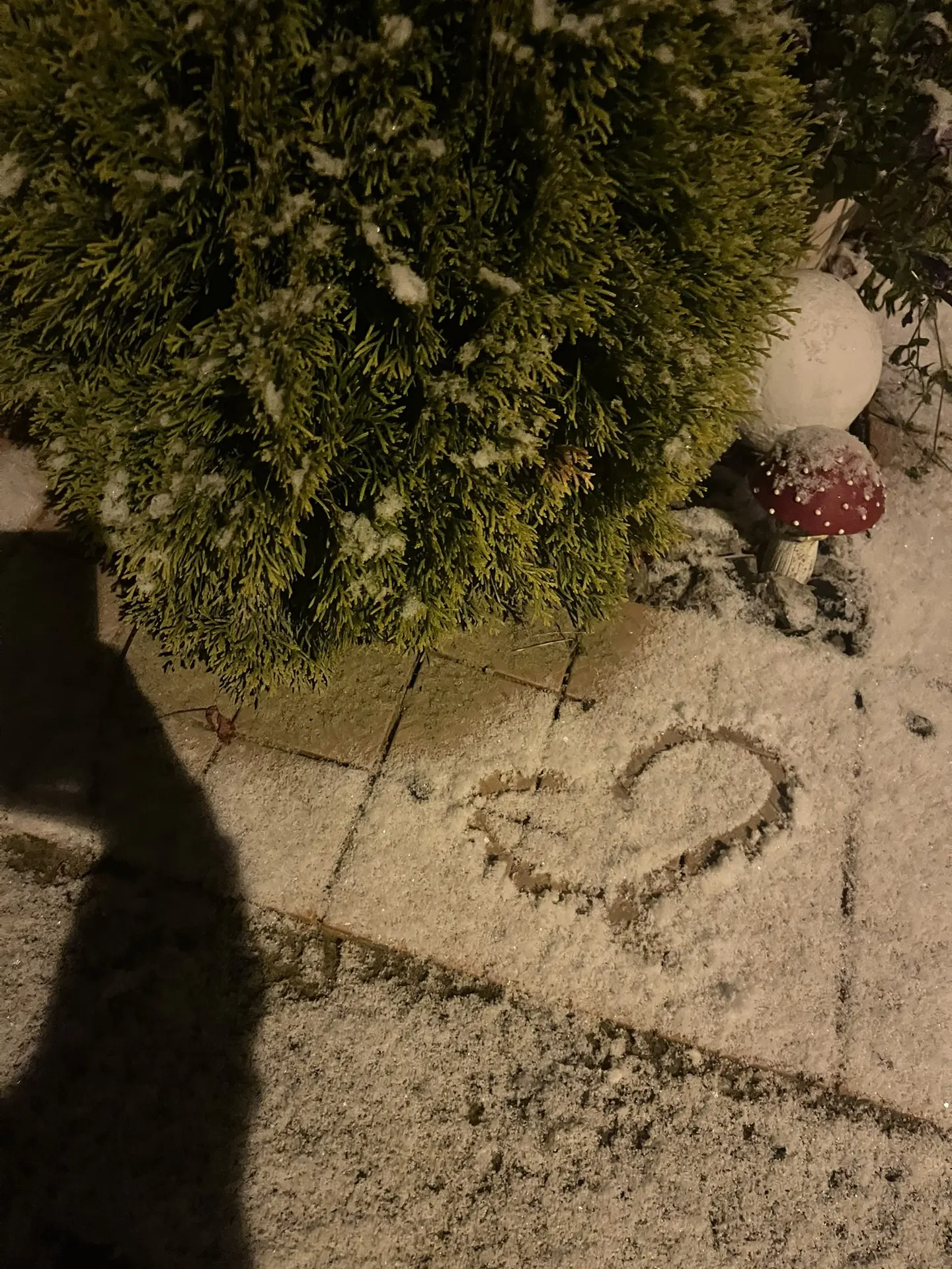 🌙Доброй ночи! 💚