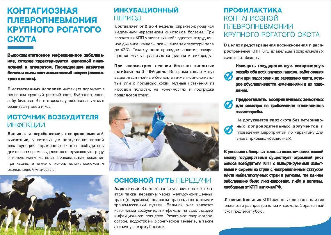 ПАМЯТКА ДЛЯ НАСЕЛЕНИЯ