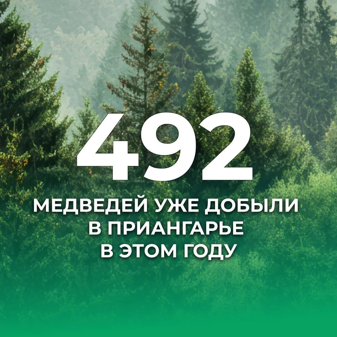 В Систему-112 поступило 26 сообщений о появлении хищников, в 21 случае их присутствие п...