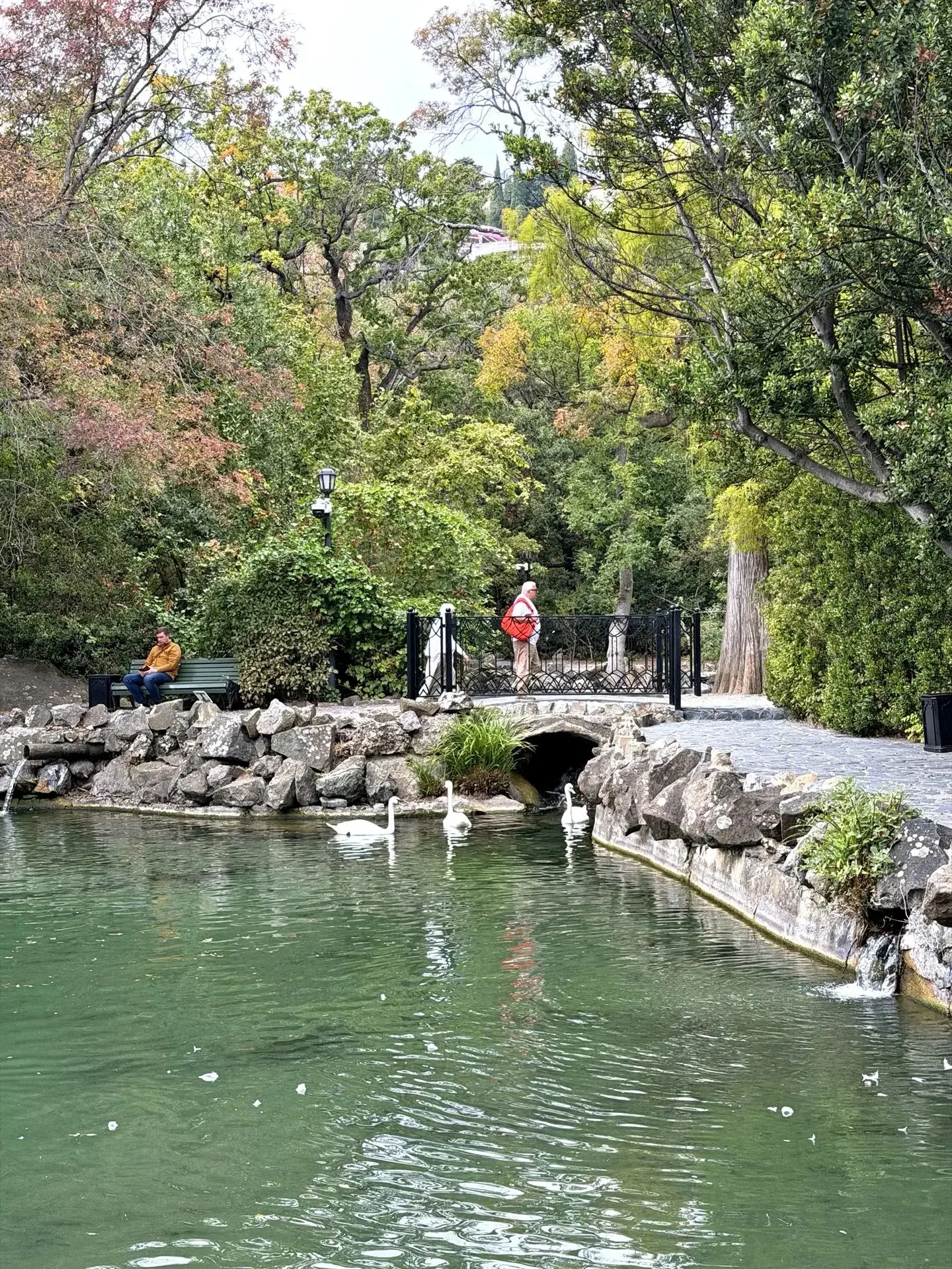 Алупкинский парк - место, где роскошь Воронцовского дворца встречается с хаосом дикой п...