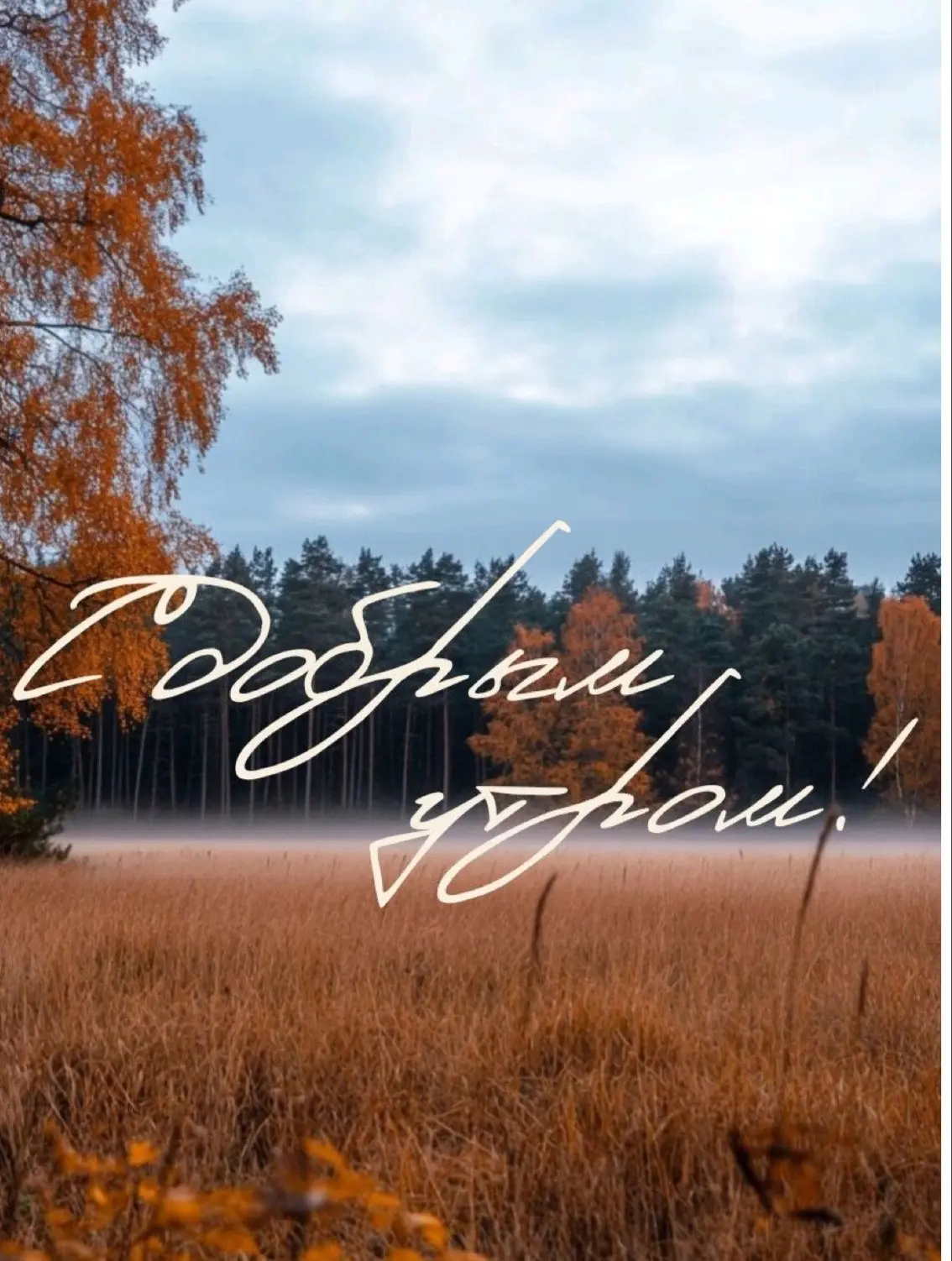 📍Рубрика: День с НГПУ
