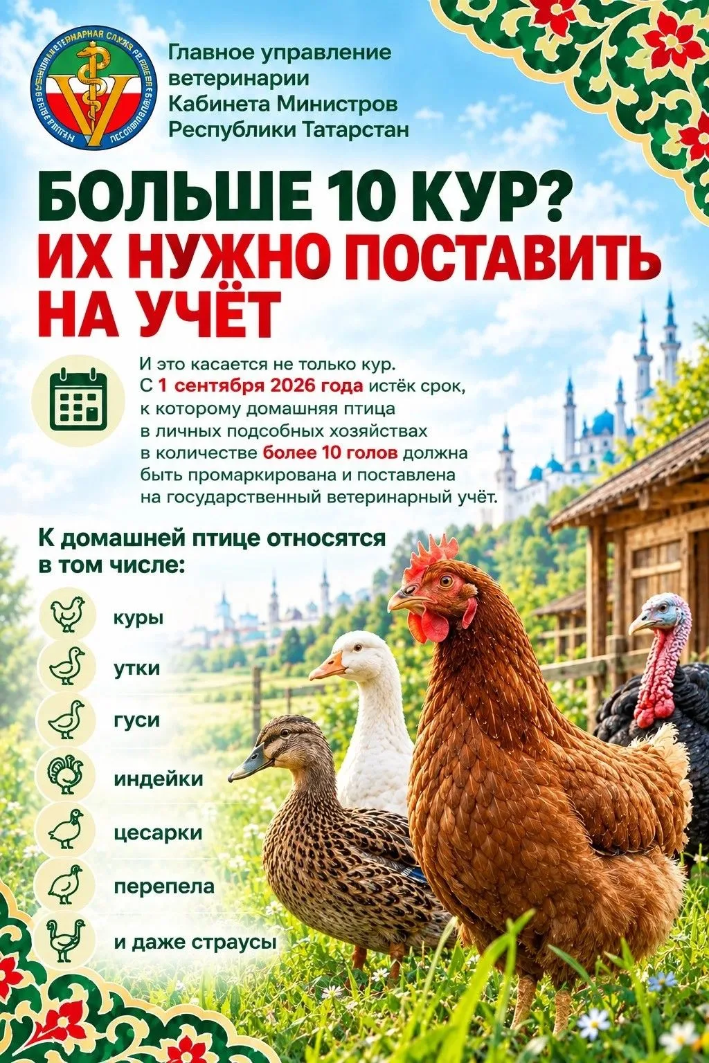 🐓 Регистрация птицы в ЛПХ: почему не стоит идти с ней в МФЦ