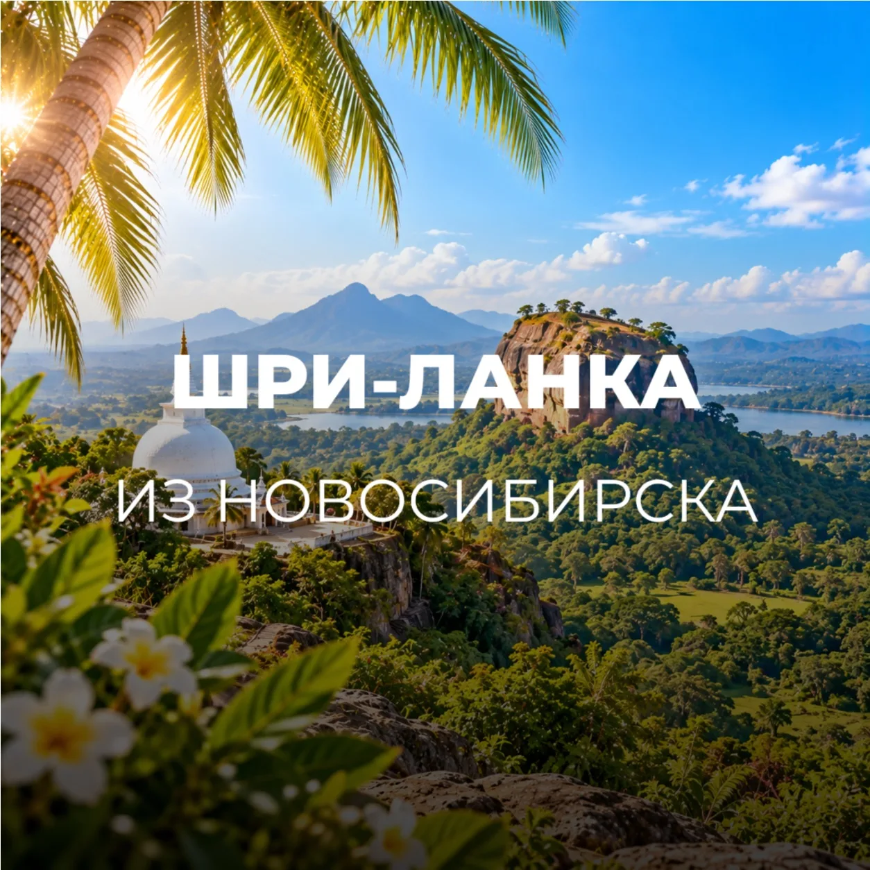 ШРИ-ЛАНКА ИЗ НОВОСИБИРСКА🇱🇰