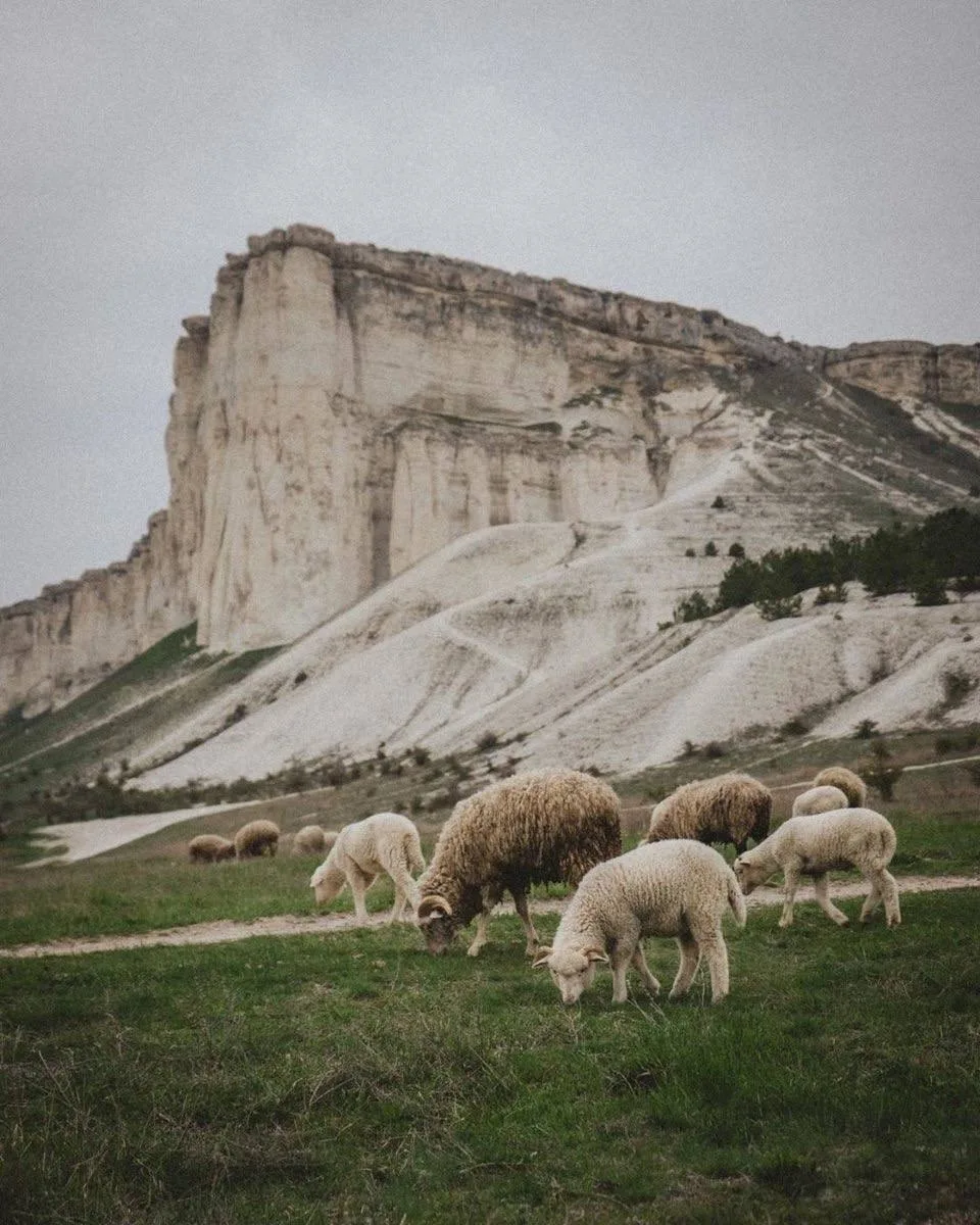 Белая скала и барашки - ещё одно идеальное сочетание 🐑