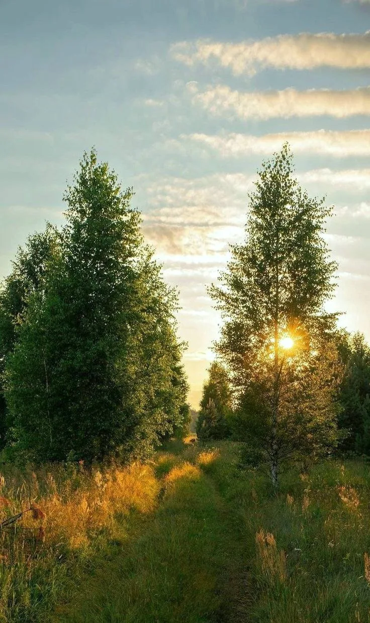 🎧 Кто не любит,