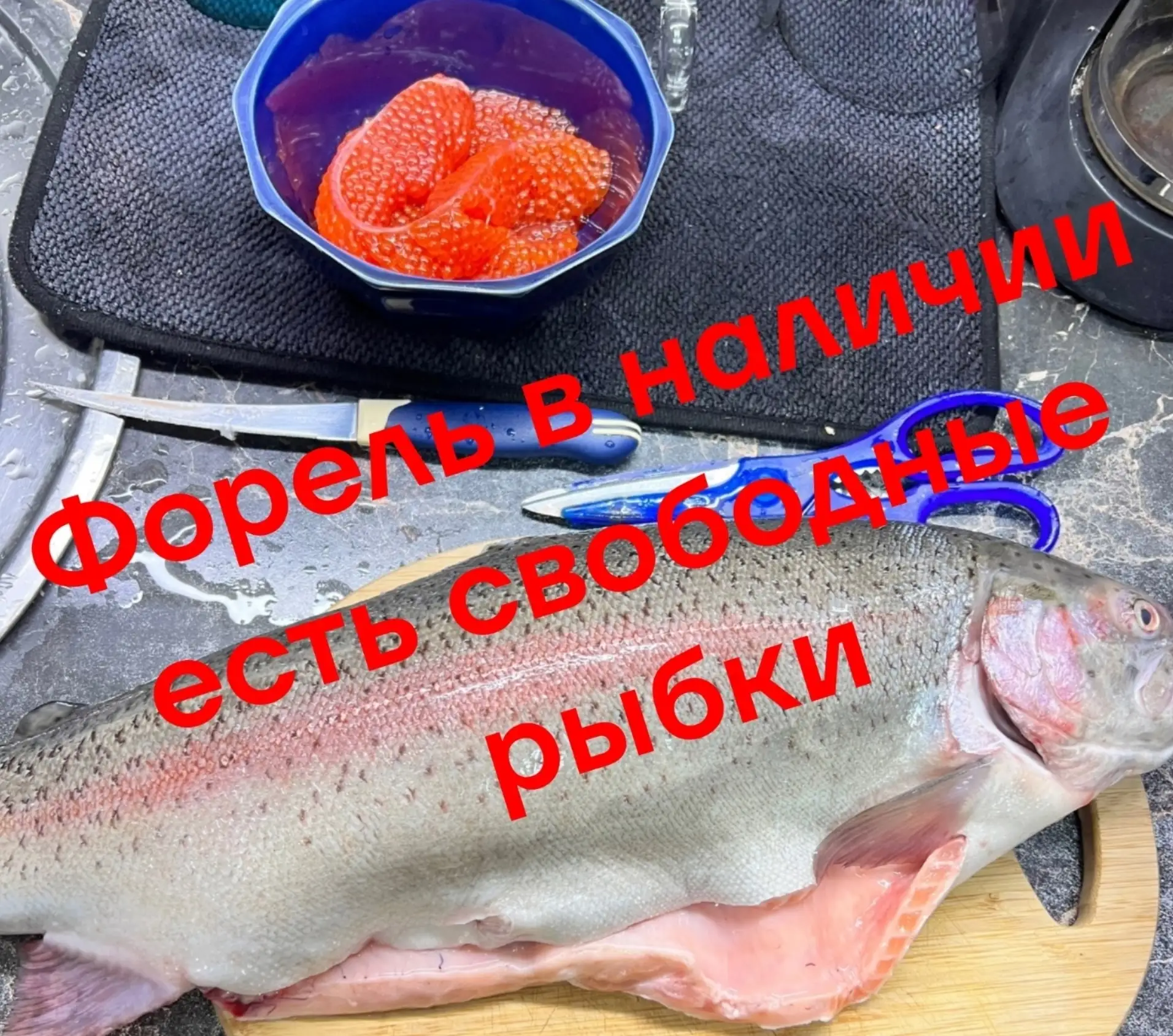 Рыбка в наличии, есть свободные хвостики.