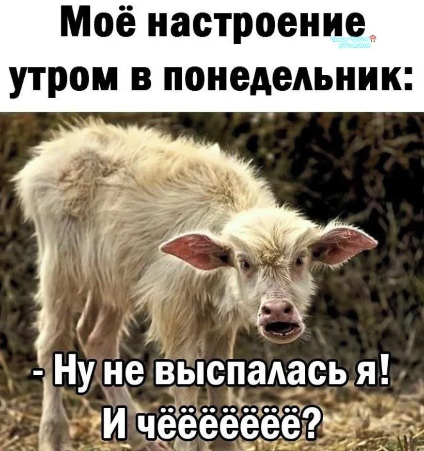 Утров всем! Добрых будет завтра☕☕☕☕☕☕