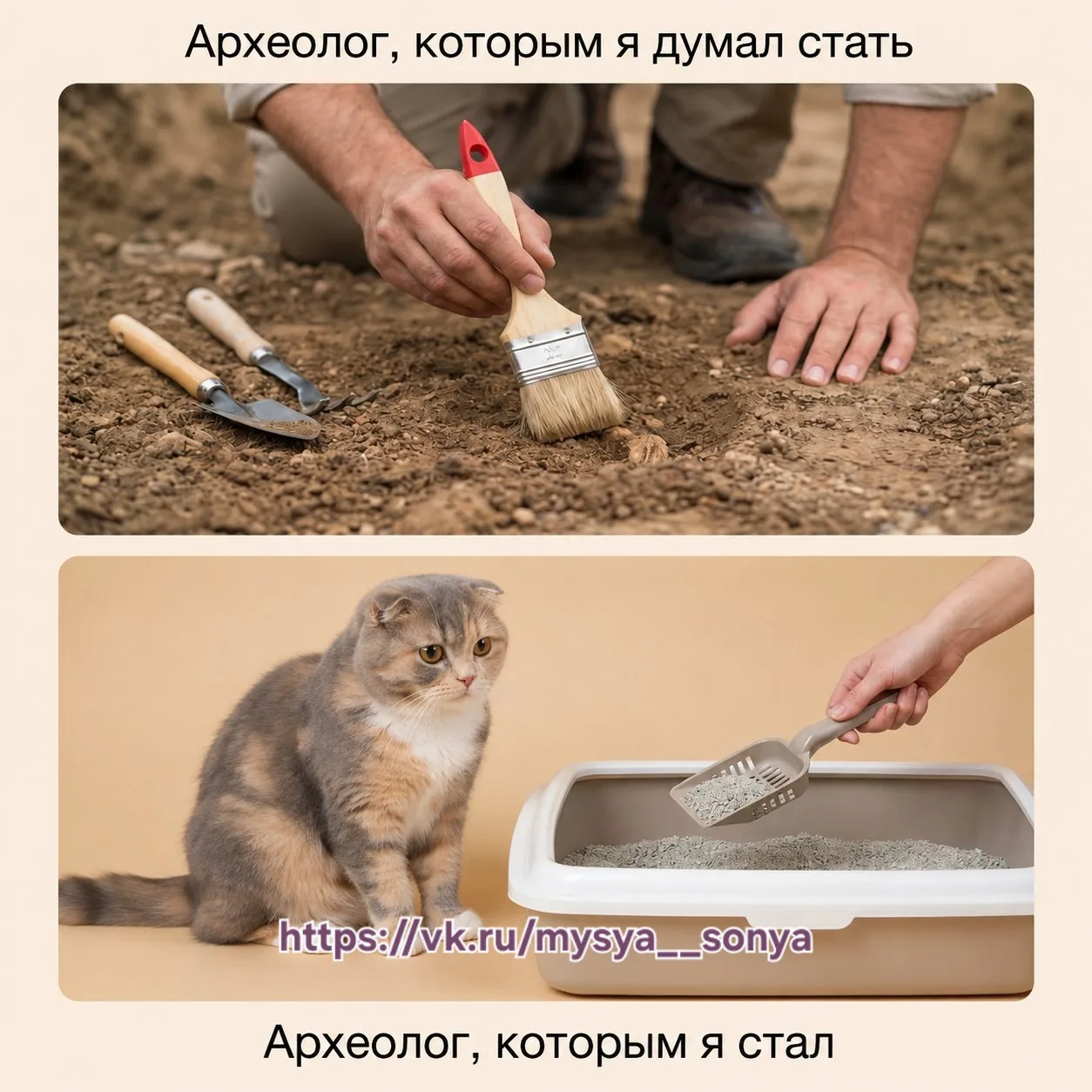 А вы такой же археолог?)))🐾