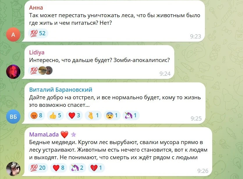 🐻⚙️ Операция «Антимишка»: Госдума предлагает защищаться от медведей контейнерами