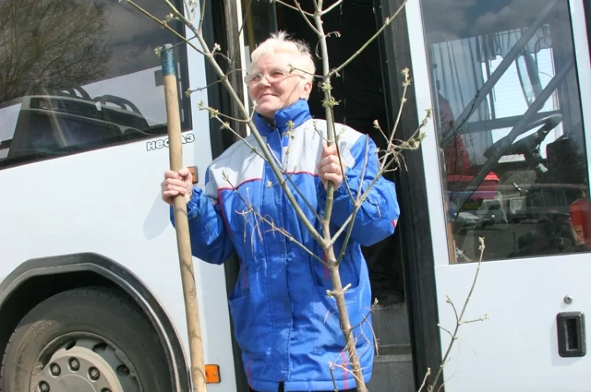 🚌 Дачные маршруты завершают работу